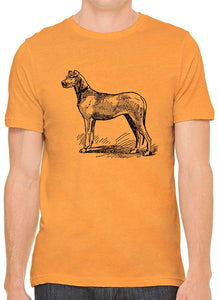 Big Farm Dog Cotton Crewneck Mens Orange T-Shirts