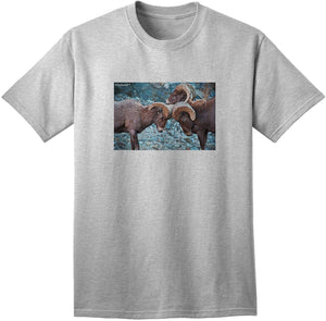 CO Bighorn Head Butt Adult Gray T-Shirts