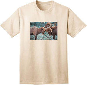 CO Bighorn Head Butt Adult Nature T-Shirts