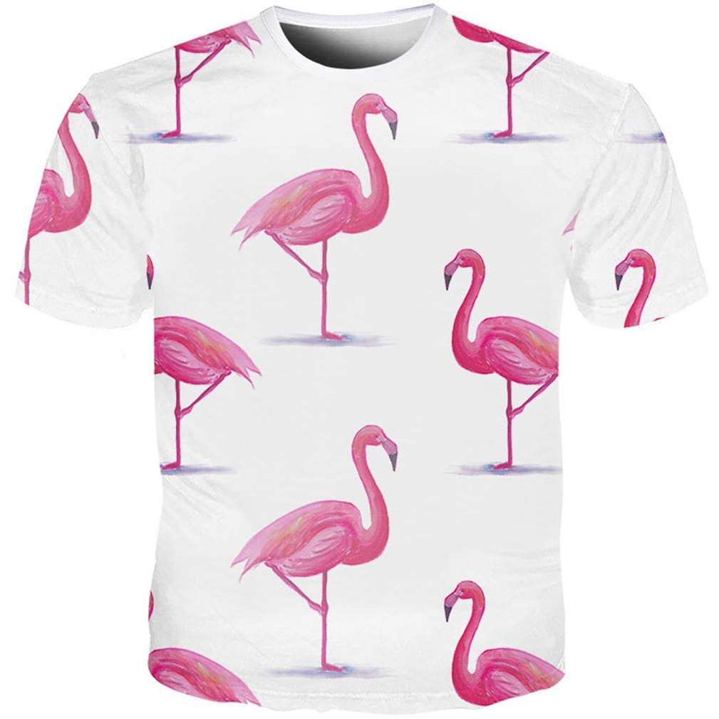 Funny Bird 3D Full Print Men Women Swan Flamingo Short Sleeve Fashion Streetwear Black/White T-Shirts