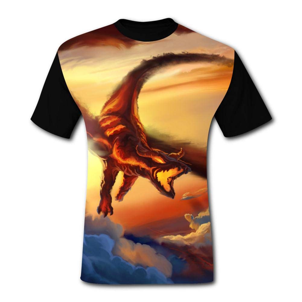 Mens Fantasy Clouds Fire Dragon Casual Print Comfortable Adult Short Sleeve Funny Creative Black T-Shirts